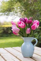 Tulipa 'Aafke', 'Candy Prince' and 'Double Dazzle' in blue jug with view to garden