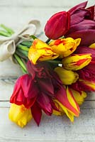 Bouquet of Tulipa 'National Velvet, 'Synaeda King', 'Olympic Flame' and 'Lasting Love' on table