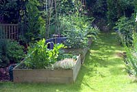 Vegetable beds with variegated thyme, Lovage, asparagus and artichokes, sweet peas