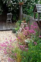 Pots and containers with pink valerian on shingle patio