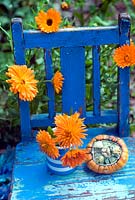 Marigolds and gourd on painted blue wooden chair