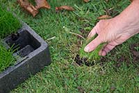 Removal of perennial weeds, by hand.  Repair hole using plug of grass grown for purpose in modules