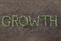 The word growth written in seedlings