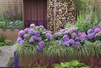 Hydrangeas, grasses, hostas and a recessed seating area enclosed by raised beds and a feature wood store. Futureproof, Waterproof Garden, RHS Tatton Flower Show 2011, Cheshire