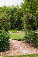 Mulch border with grey flagstone path through black wrought iron arbour with climbing pink Clematis Viticella 'Ville de Lyon' and climbing purple Clematis Viticella 'Etoile Violette' in residential backyard garden in summer