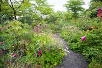 Beds around the house are dominated by graceful Aralia echinocaulis underplanted with a mass of herbaceous perennials and annuals including cosmos, lythrum, dahlias, salvias, persicaria and orange ligularia. Hunting Brook Garden, Co Wicklow, Ireland