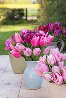Tulipa 'Aafke', 'Candy Prince' and 'Double Dazzle' in blue jug
