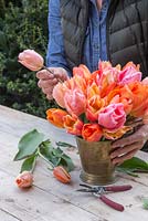 Woman adding Tulipa 'El Nino', 'Marianne', 'Charming Beauty' and 'Sugar Love' to brass bucket