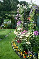 Colourful small back garden with borders filled with tender bedding plants perennials climbing Rosa and Clematis, Leucanthemum, Calendula, Lychnis coronaria, Dahlia and Phlox by lawn and path.