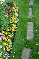 Border by lawn planted with Alyssum, Antirrhinum and Calendula by lawn with stepping stones