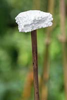 A chunk of recycled Polystyrene used as a cane topper
