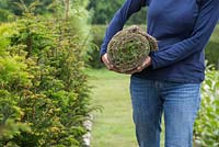 A woman carrying a roll of turf