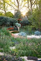 Sunrise in The Winton Beauty of Mathematics Garden, Chelsea Flower Show 2016. Mathematical symbols cut into band of copper running through the garden towards the belvedere platform. Pinus sylvestris 'Glauca' - blue Scot's pine, Yucca rostrata - Beaked Yucca