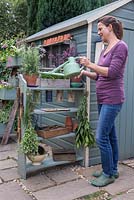 A woman watering a Rosemary plant on a gardening storage unit made from upcycling book shelves