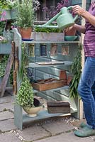 A woman watering a Rosemary plant on a gardening storage unit made from upcycling book shelves