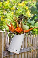 Jug of vegetables and flowers on a wooden fence. Carrots, marigolds, kohlrabi, parsley, fennel, kale.