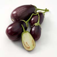 Solanum melongena - mini eggplant