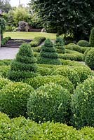 Clipped Box and Yew topiary parterre garden. Bourton House Garden, Gloucestershire. Mid summer.  
