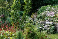 Jackie Healy's garden near Chepstow. Early autumn garden. Wooden bench set in autumnal borders