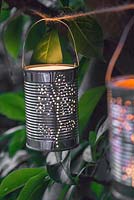 Lit tin can lanterns hanging in a tree