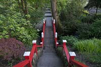 Red painted wooden bridge in woodland - June, Clyne Gardens, Swansea, Wales