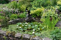A raised pond with waterlilies surround by Primula vialii, hosta, Alchemilla mollis, bergenia and geranium.