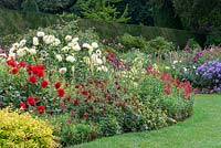 The Red Border planted with Hydrangea 'Limelight',  Sisyrinchium striatum, Dahlia 'Apache', Fuchsia magellanica 'Aurea', Dahlia 'Ragged Robin', Kniphofia 'Green Jade', Dahlia 'Shooting Star'  and Penstemon 'King George'.