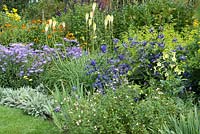 The Blue and Yellow Border planted with Helenium 'Sahin's Early Flowerer', Aster x frikartii 'Wunder von Staffe', Achillea millefolium 'Anthea', Kniphofia 'Green Jade', Clematis heracleifolia 'Cassandra', Salvia 'Trelissick' and Nicotiana 'Lime Green'.