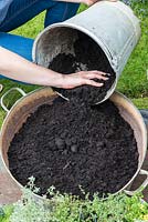 Step 3. Fill the tub with potting compost. Planting a thyme wheel in a container step by step. 