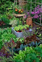 Mini kitchen garden made using recycled materials like a water tank, roof tiles, shrub prunings and a tin plasterers' bath. Some crops are ready to harvest, others are being planted. Flowers are included to attract beneficial insects.