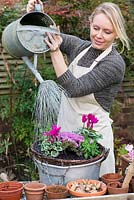Planting a colourful winter hanging basket. Water well.