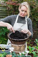 Planting a hanging basket for winter and early spring. Add potting compost.