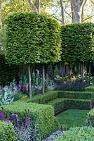 The Support the Husqvarna Garden : A contemporary retreat with sunken lawn, geometric topiary and pleached Carpinus hedging.  Sponsor: Husqvarna. Designer: Charlotte Albone. RHS Chelsea Flower Show 2016

