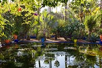 Overlooking the water lily pond in the Jardin Majorelle. Created by Jacques Majorelle and further developed by Yves Saint Laurent and Pierre Bergé, Marrakech, Morocco