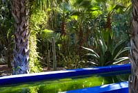 A water channel with palm trees and cacti in the Jardin Majorelle. Created by Jacques Majorelle and further developed by Yves Saint Laurent and Pierre Bergé, Marrakech, Morocco