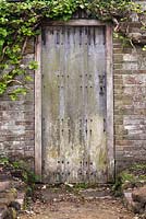 Old wooden door in stone walled garden with hydrangea petiolaris foliage 