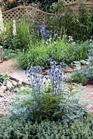 The Drought Garden. Gravelled city garden with drought tolerant planting. Designer: Steve Dimmock. RHS Hampton Court Palace Flower Show 2016