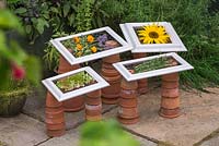 Upcycled picture frames used to dry herbs and flowers. Rosemary, Mint, Calendula, Lavender and Sunflower