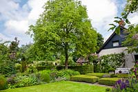The Formal Garden, with knot garden made of Buxus. Herbaceous borders. Mature walnut tree. Sarina Meijer garden