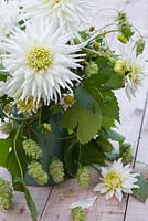 Floral display of Dahlia 'My Love' with Humulus lupulus 'Golden Tassels' in a green jug