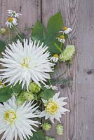 Floral display of Dahlia 'My Love' with Humulus lupulus 'Golden Tassels' on a wooden surface