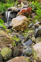 Waterfall and cascading stream bordered by Lysimachia nummularia 'Aurea' - Golden creeping Jenny, orange Solenostemon - Coleus in sloped backyard garden in summer
