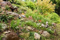 Lysimachia nummularia 'Aurea' - Golden creeping Jenny, Hemerocallis - Daylilies, Acer ginnala - Maple tree in raised rock edged border in sloped backyard garden in summer