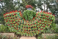 Da Lat Vietnam Botanical Gardens. Garden feature with Saliva Splendens.