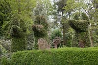Topiary dog's heads hedge