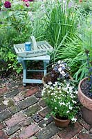 Cottage garden with arrangement of small painted wooden table and trug and planters with Lobelia and Nemesia on reclaimed brick path 