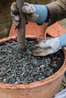 Repotting a Bay Tree - replacing stone topping