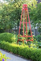 Red painted climbing support for runner beans in a kitchen garden framed with box