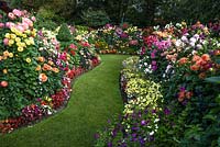 Curved Lawn between beds of Dahlia