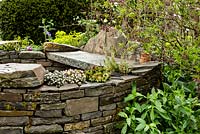 Curved stone wall seating area with succulents and naturalistic planting - Macmillan Legacy Garden - RHS Malvern Spring Show 2016. Designer: Mark Eveleigh, Sponsor: Macmillan Cancer Support